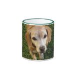 Sad puppy dog eyes mug