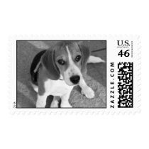 Sad Puppy postage