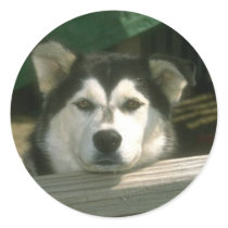 Sad Puppy stickers by White_Wedding Sad Puppy stickers