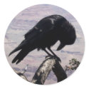 Sad Raven Stickers 01 by phantompanther Sad Raven Stickers 01