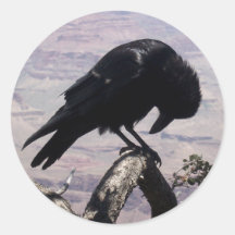 Sad Raven Stickers 01