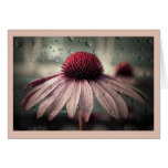 sad solitude greeting cards