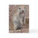 Sad Squirrel Greeting Card
