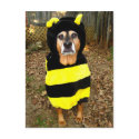 Saddest Bee Postcard by rachellucasdotcom Saddest Bee Postcard