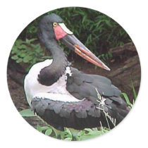 Saddle-Billed Stork stickers