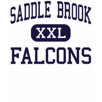 Saddle Brook - Falcons - High - Saddle Brook t-shirts