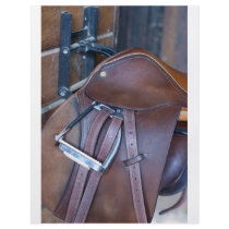 Saddle Flyer Design