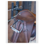 Saddle flyers