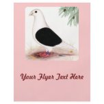 Saddle Homer Pigeon flyers