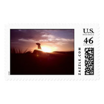 Saddle SunSet postage