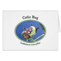 Saddleback Caterpillar Cutie Bug Card