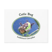 Saddleback Caterpillar Cutie Bug Postcards