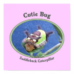 Saddleback Caterpillar Cutie Bug Posters