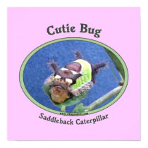 Saddleback Caterpillar Cutie Bug Posters