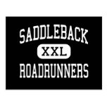 Saddleback - Roadrunners - High - Santa Ana Post Cards