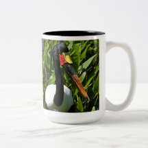 Saddlebill Stork Photo Kansas City Zoo Mugs