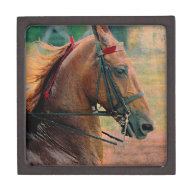 Saddlebred Faux Painting Premium Jewelry Boxes