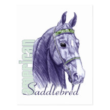Saddlebred Head Study, Blue Post Cards