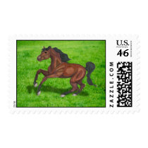 Saddlebred Stamps