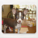 Sadie baby mousepads by WickedLies21 Sadie baby mousepads