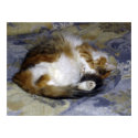 Sadie Curled Up posters