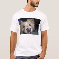 sadie dog t-shirts