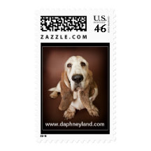 Sadie Postage