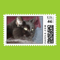 Sadie, the black cat postage postage