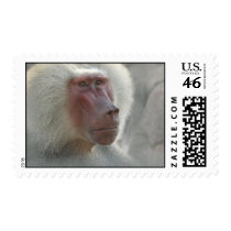 Sadness postage