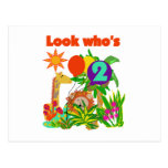 Safari 2nd Birthday T-shirts and Gifts Post Cards