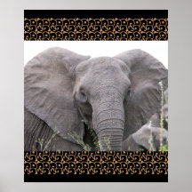 Safari Africa Mod Chic Classy  Destiny Elephant Print