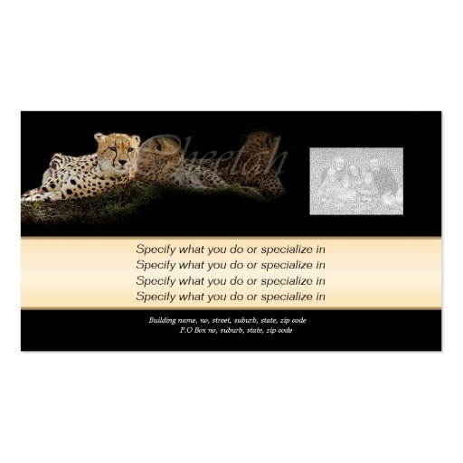Safari business cards, cheetahs - customizable (back side)