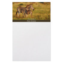 Safari businesses stationery template
