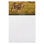 Safari businesses stationery template