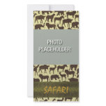Safari Photocard Template Photo Greeting Card