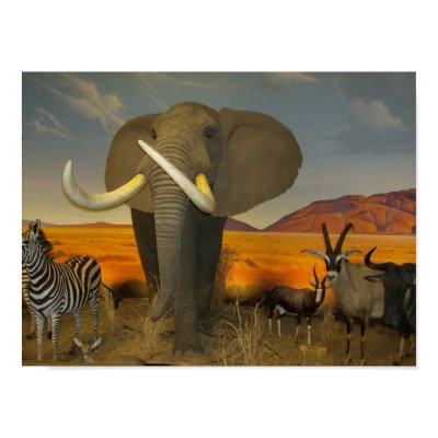 Safari Poster by imperfectiomism