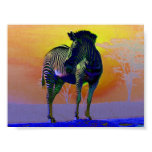 Safari Stripes Safari Stripes