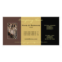 Safari zebra photo business cards photo card template