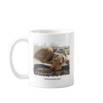 Safe At Home with a Professional Pet Sitter mugs