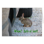 Safe at last Rabbit Card