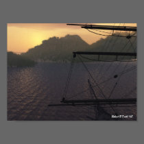 Safe harbor
