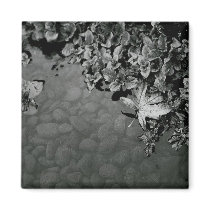 Safe Harbor Zen in Nature Magnet