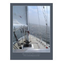 Safe Harbour posters
