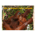 Safe in Mommy's Lap Post Card
