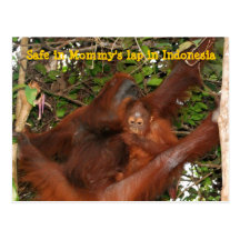 Safe in Mommy's Lap Post Card
