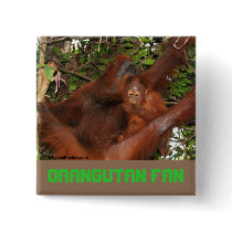 Safe in Mommy's Orangutan Lap buttons by Rebecca_Reeder Safe in Mommy's Orangutan Lap buttons