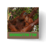 Safe in Mommy's Orangutan Lap Pinback Buttons