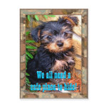 Safe Place Postcard