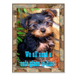 Safe Place Postcard
