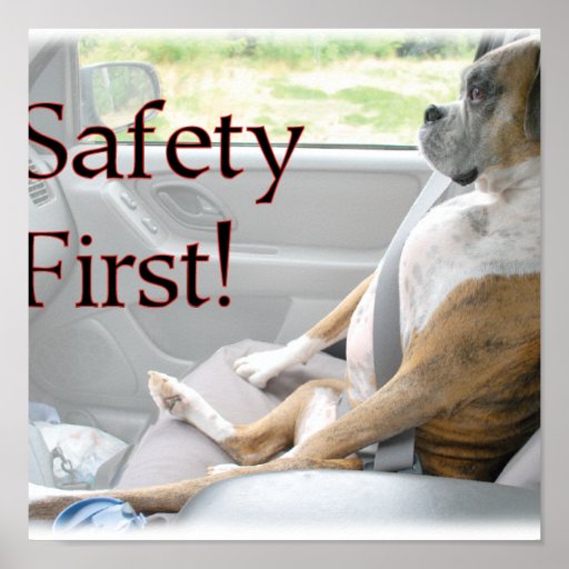 Safety First! Poster Zazzle